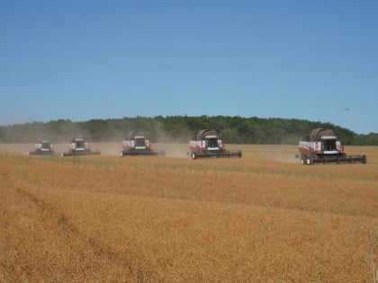 Дмитрий Азаров поздравил аграриев с Днем работника сельского хозяйства и перерабатывающей промышленности