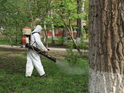 В Самарской области от укусов клещей пострадали 1 785 человек