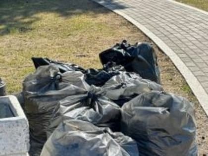 Глава Тольятти рассказал, как проходит уборка города