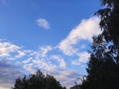 Дожди вернутся, и штормовые ветра тоже: погода в Самарской области будет на любителя