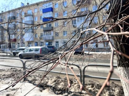 Слишком тепло: Вильфанд сообщил о мартовской аномалии в стране