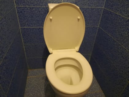 «Силафлекс», «Железный молот» и «Дефакон» попали в список опасных средств в Самарской области