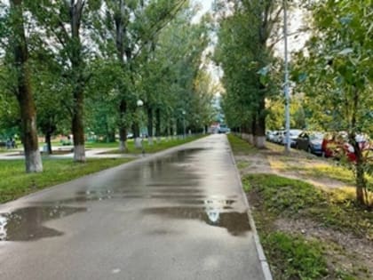 Опрос о благоустройстве сквера в Тольятти