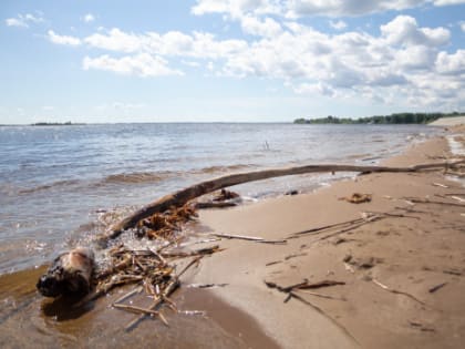 Вячеслав Федорищев дал поручение после череды смертей на диких пляжах Самарской области