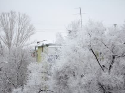 В России 2022 год стал вторым самым теплым за 130 лет