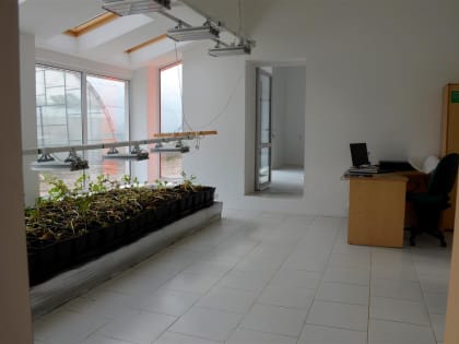 Плодовитый Гранд и стойкая Джулия: селекционеры Самарской области работают над новыми сортами картофеля