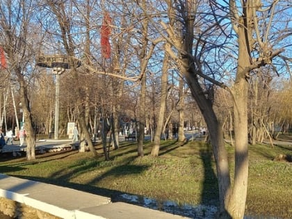 С начала сезона 2024 года клещи покусали 159 самарцев