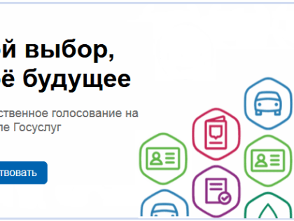Губерния лидирует по количеству проведенных общественных голосований в России на платформе "Госуслуги. Решаем вместе"