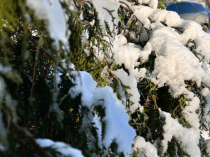 В Самарской области температура воздуха резко упадет до минус 20 градусов