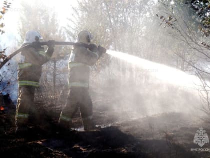 За период с 11 по 15 июля на территории региона произошло 109 техногенных пожаров. На водных объектах зарегистрировано 3 происшествия