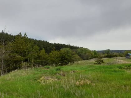 Народные приметы: 31 июля. Не вздумайте делать это в Омельянов день и Воробьиные ночи, чтобы попасть в беду