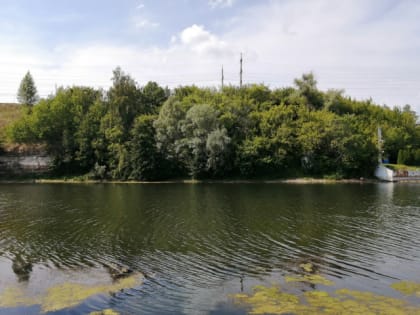 В Сызрани есть места, где снижается риск заболеть Паркинсоном и Альцгеймером