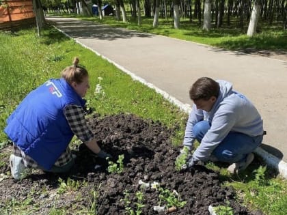 Молодогвардейцы озеленили парк «Дубовая Роща» в Куйбышевском районе