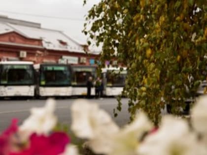 Трасса следования автобусов № 50 в районе новой эстакады на улице Ново-Садовой будет скорректирована