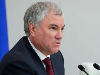 Володин поднял вопрос о запрете на ночную продажу алкоголя в "наливайках"