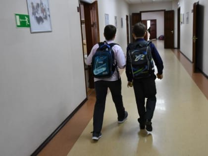 В России появится программа по развитию у школьников интереса к естественно-научным и техническим дисциплинам