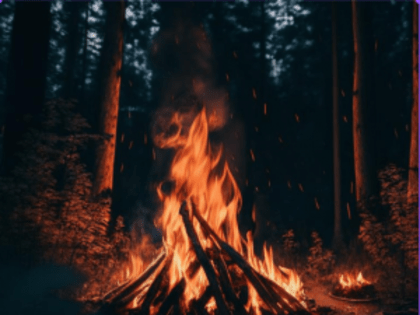 В Самарской области сохранится чрезвычайная пожарная опасность лесов 5 класс