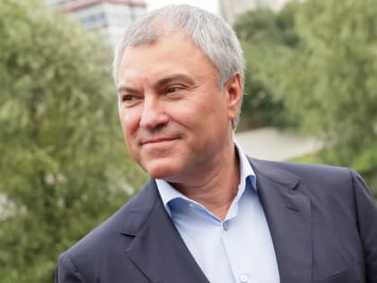 "Им надо включать голову": Володин - о странах Запада, страдающих из-за антироссийских санкций