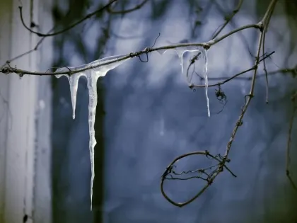 Синоптики предупреждают о морозах в Самарской области