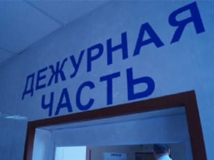 В Тольятти сын украл у матери бытовую технику