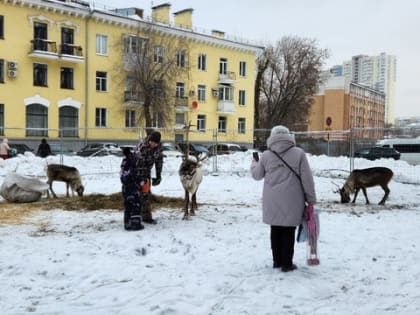 В январе придёт сразу три доплаты к пенсии. Пенсионеры ахнули от такого приятного сюрприза
