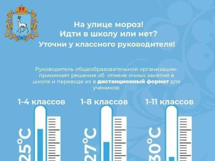 Из-за морозов 9 января школьники Самары останутся дома