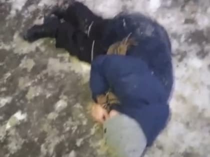В Тольятти полиция проверила видео с лежавшим на снегу подростком