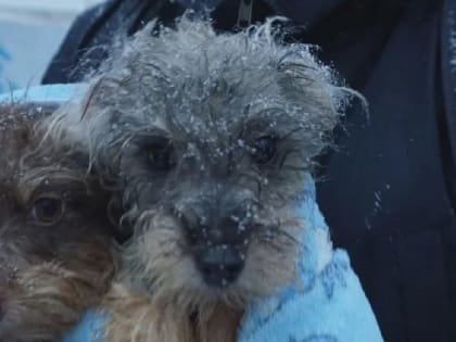 Подготовка дач к зиме: важные советы для дачников