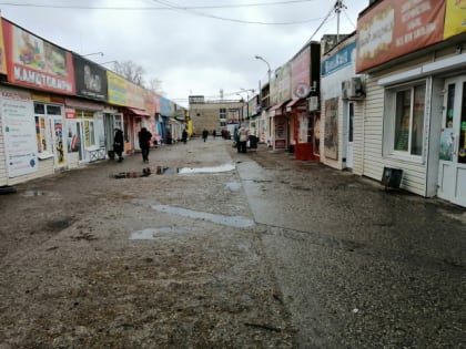 Главный эксперт России по ЖКХ заявила, что Сызрань освобождают от «едкой напасти»