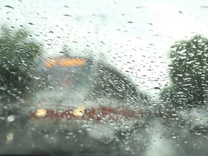 Погода на начало рабочей недели