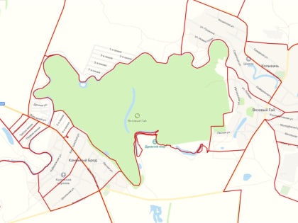 Отказ в исключении Вязового гая из лесопарковой зоны Самарской области
