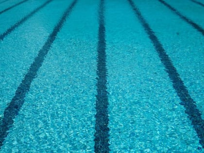 Физрука будут судить из-за смерти школьницы в бассейне в Новосибирске