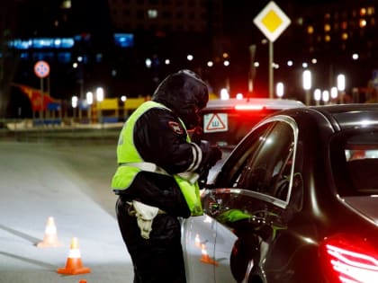 Опубликовано расписание новых рейдов ГИБДД в Тольятти