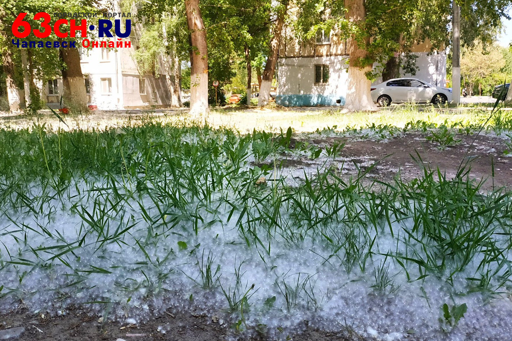 Фото тополиный пух в городе