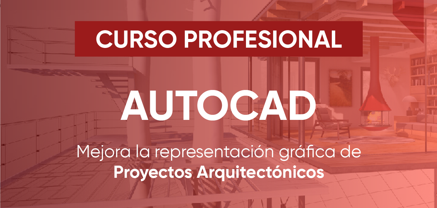 AutoCAD 2D Profesional
