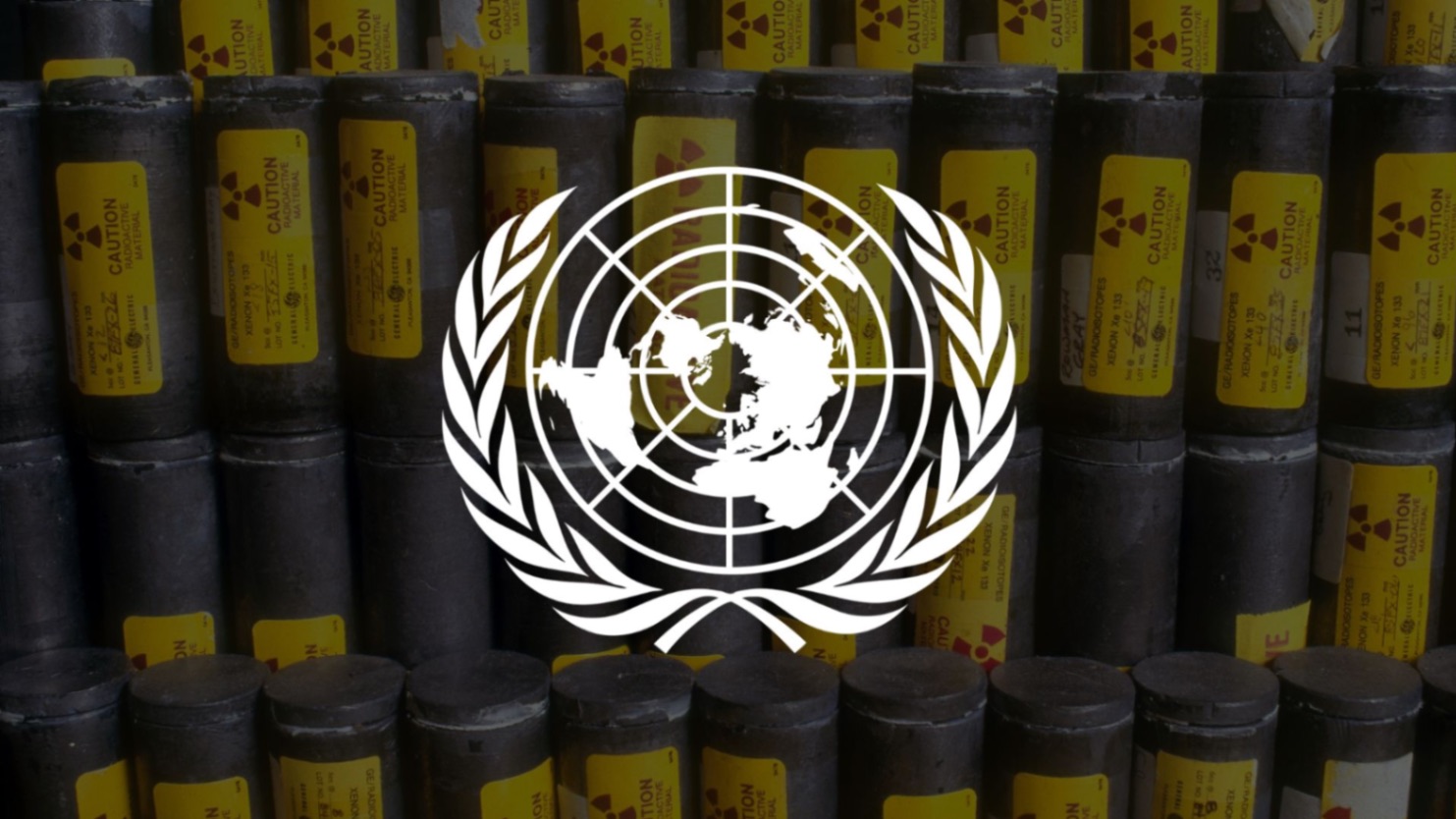 United Nations Security Council (Double Delegation)