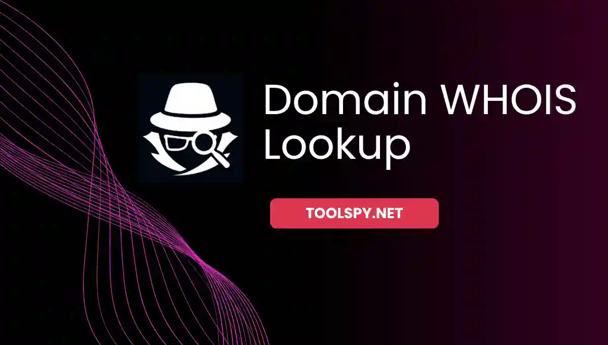 Toolspy Professional WHOIS Lookup - High-quality lookup with real-time data and privacy protection