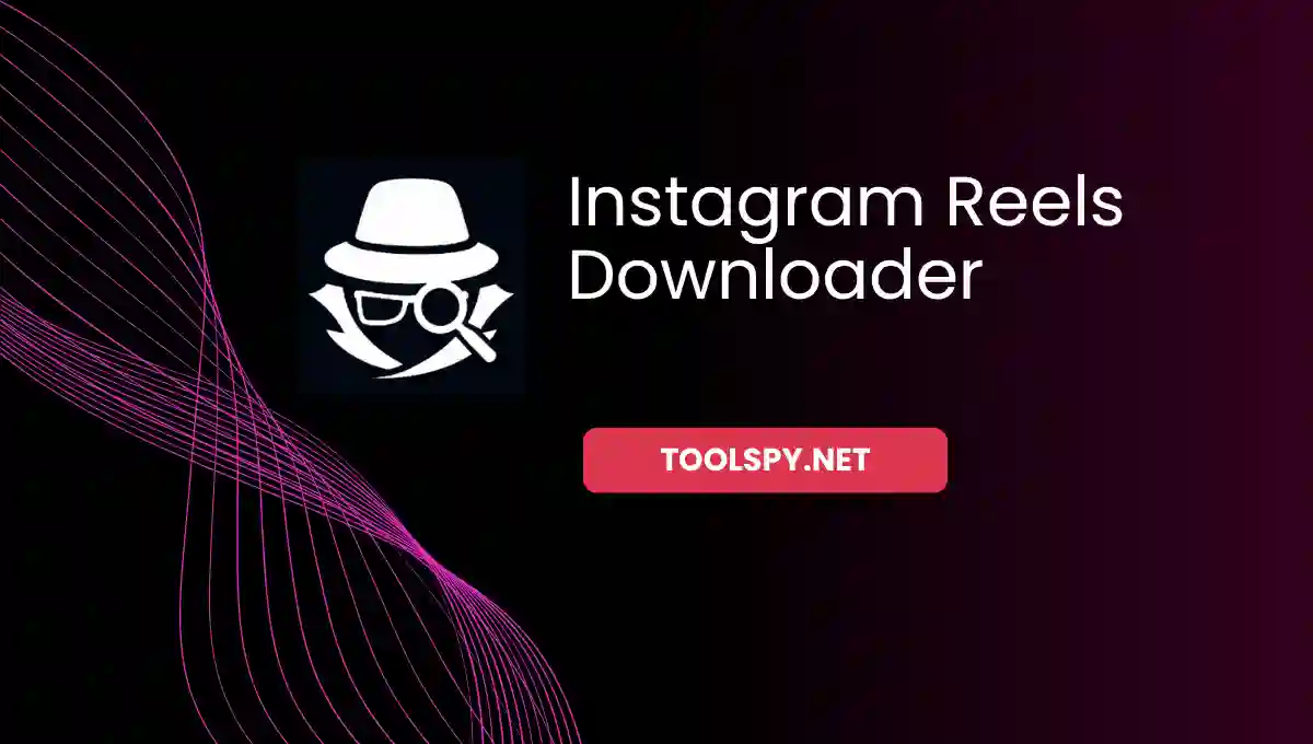 Toolspy Professional Instagram Reels Downloader - High-quality downloading with complete privacy protection and lightning-fast processing