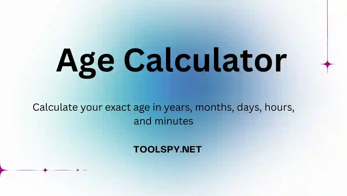 Toolspy Professional Age Calculator - High-quality calculations with day-level precision and privacy protection