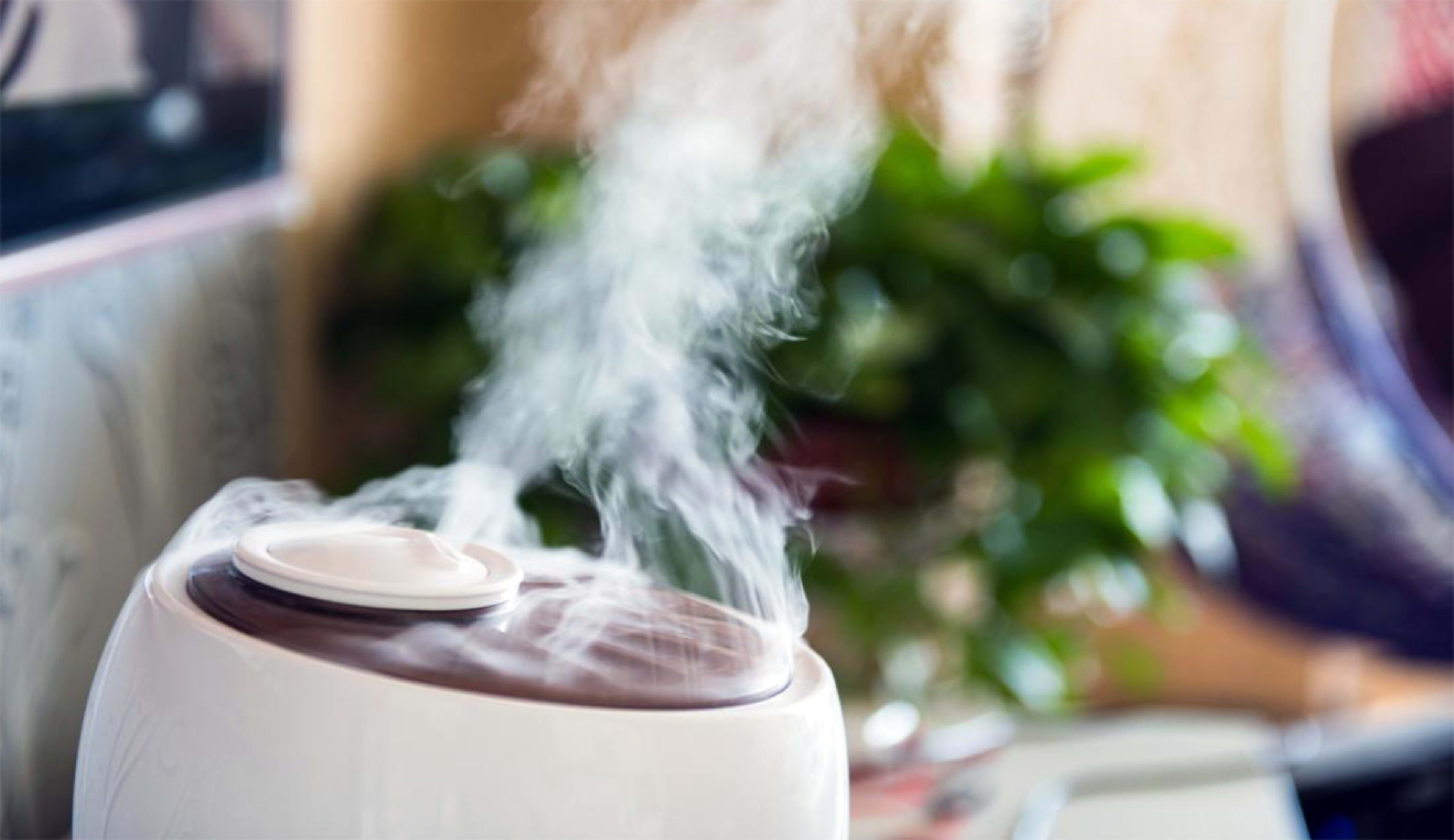 10 Common Dehumidifier Myths Debunked