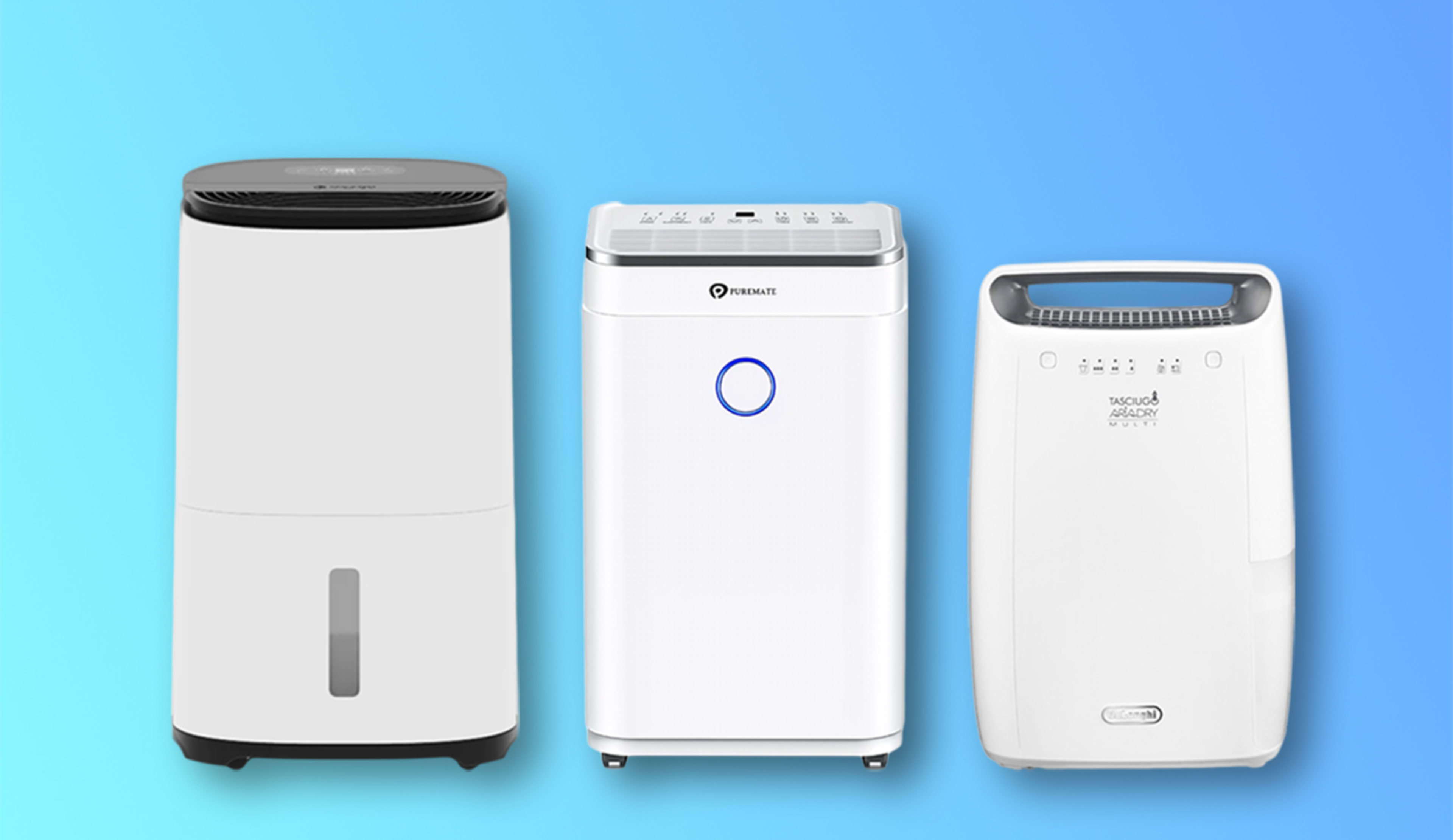 Best Dehumidifiers of 2025