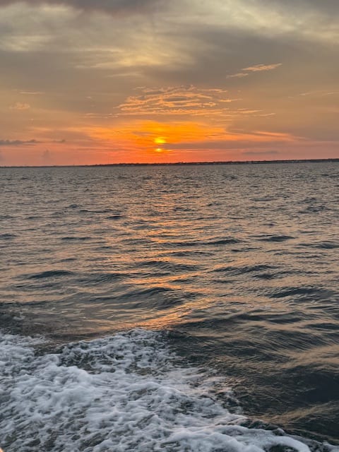 Sunset Dolphin Tour