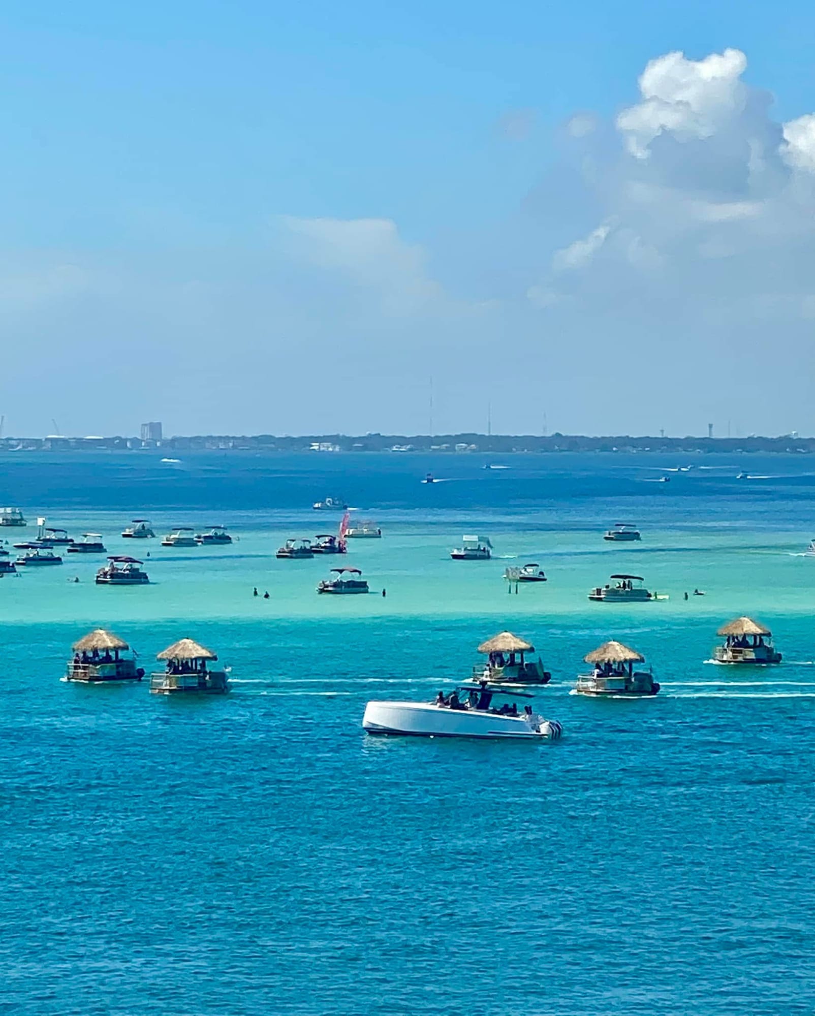 Crab Island Pontoon Trip