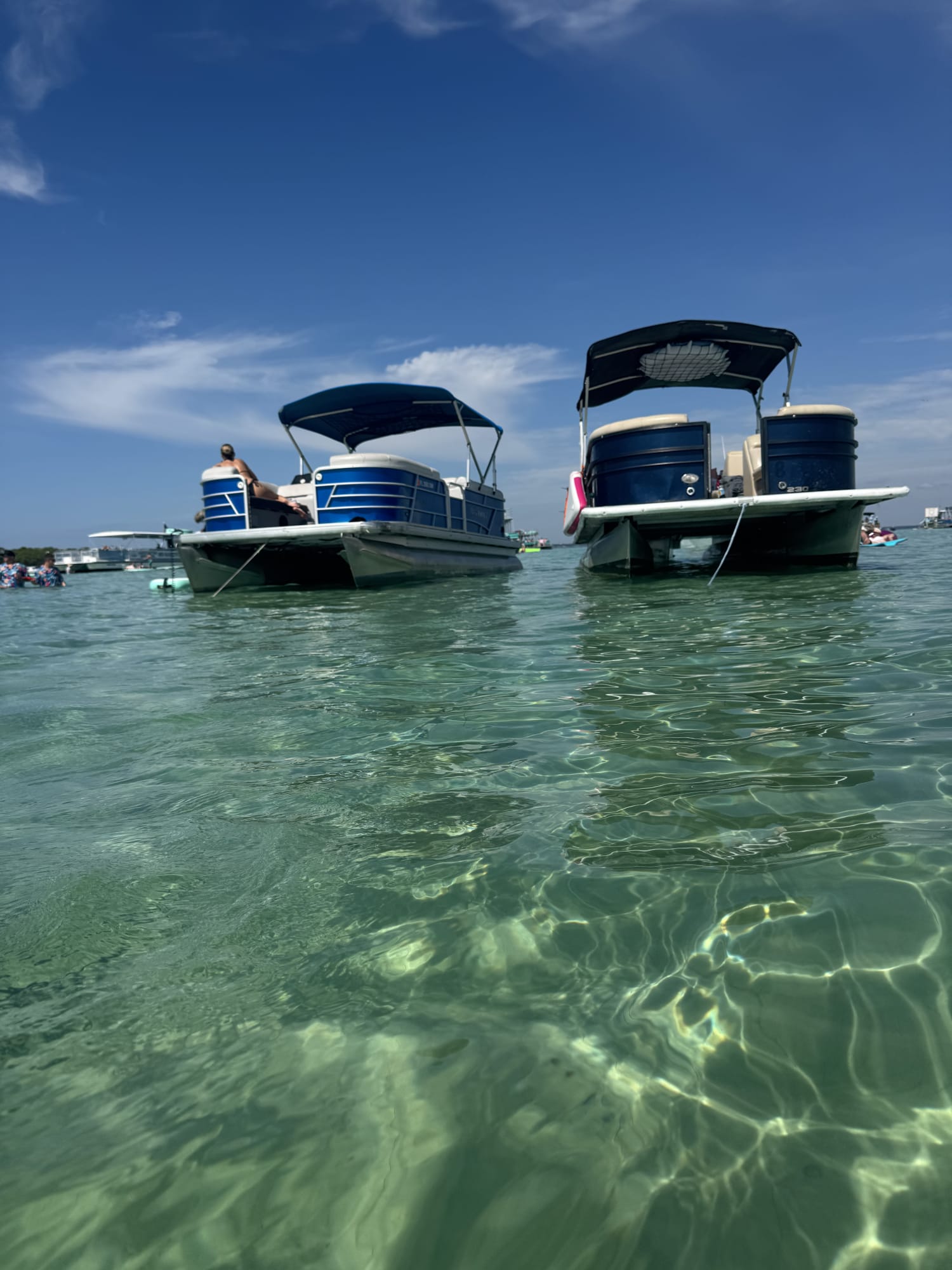 Crab Island Pontoon Trip