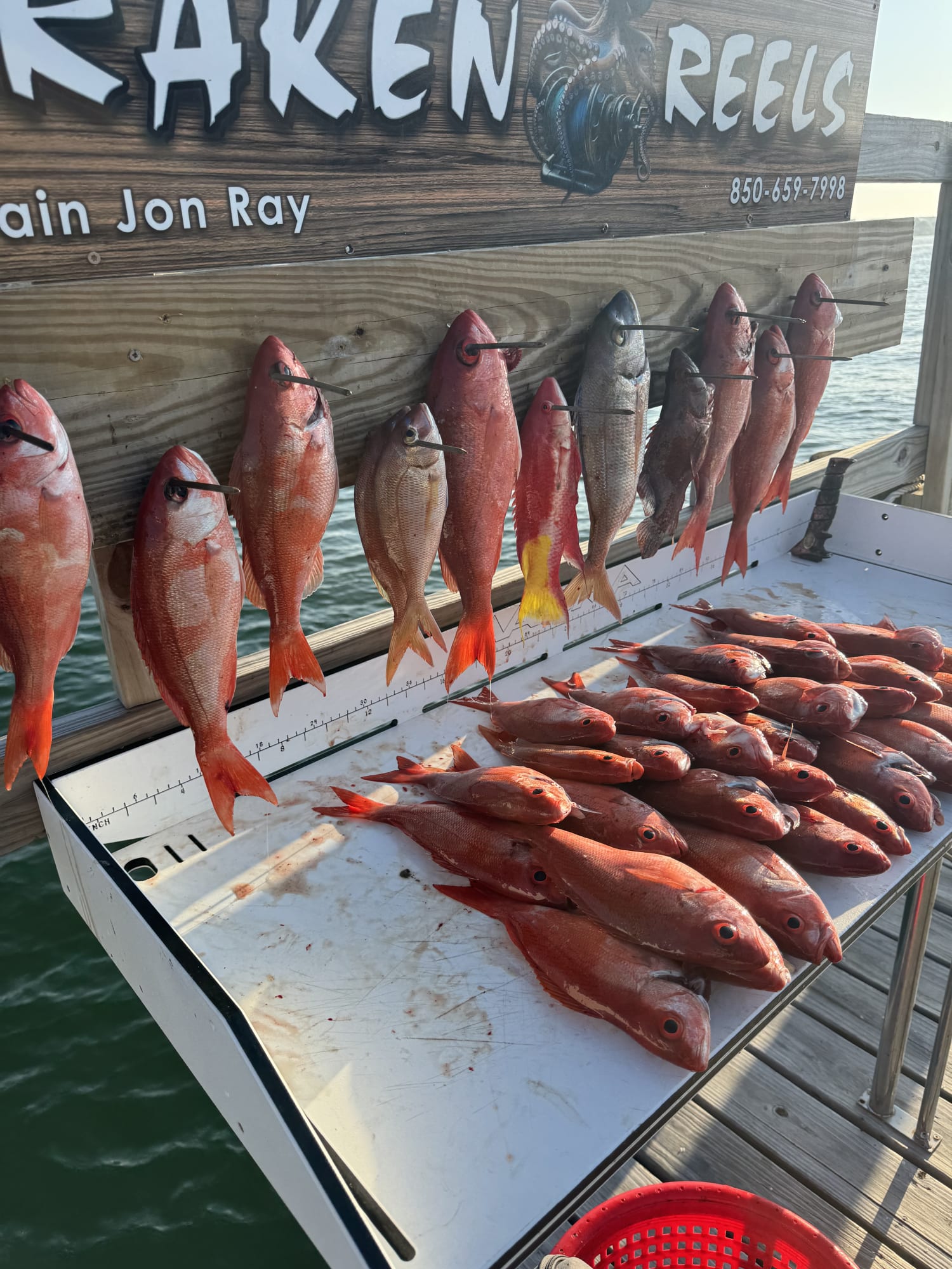 Constant action for the entire family