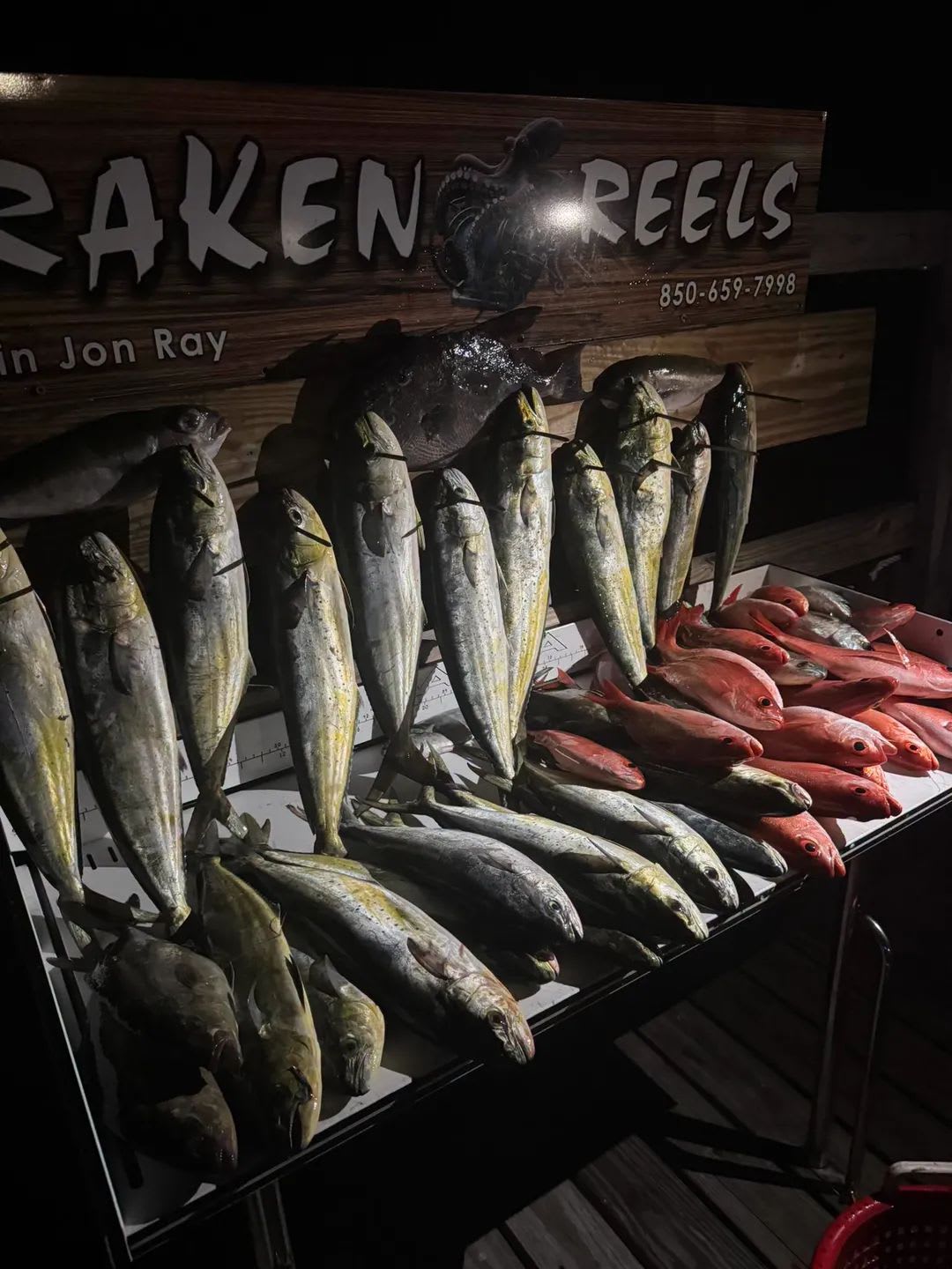 Deep Sea Fishing Charter – 8+ Hours of Big Game Action