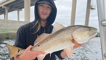 Offshore Fishing at its finest in the Gulf of Mexico!