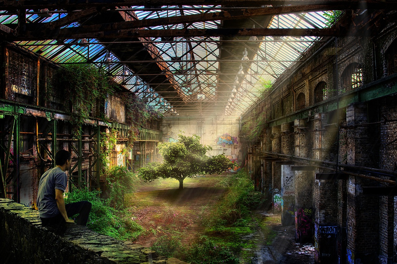 미스터블루 웹툰 파트너십