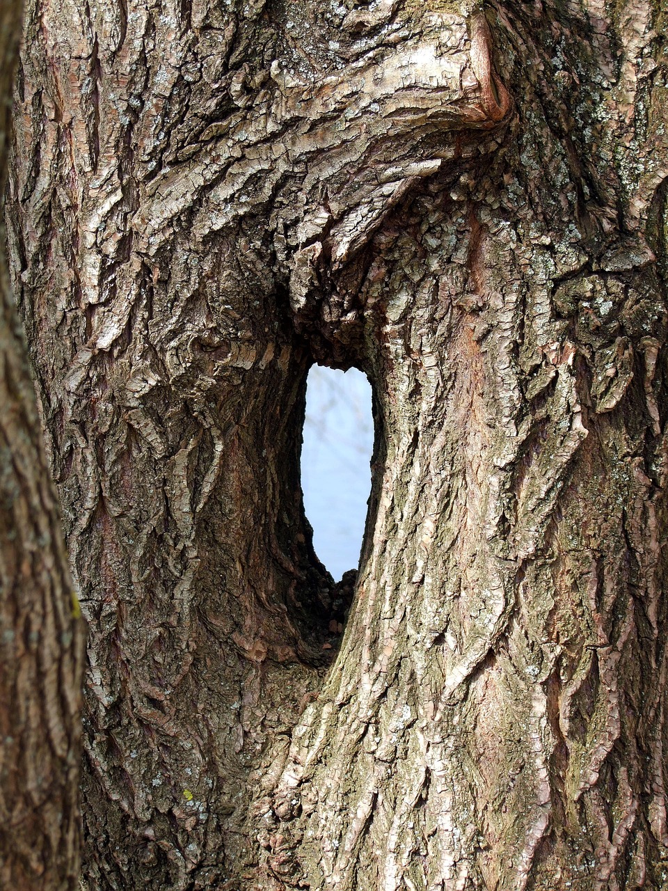 SK이노베이션 보조 이미지