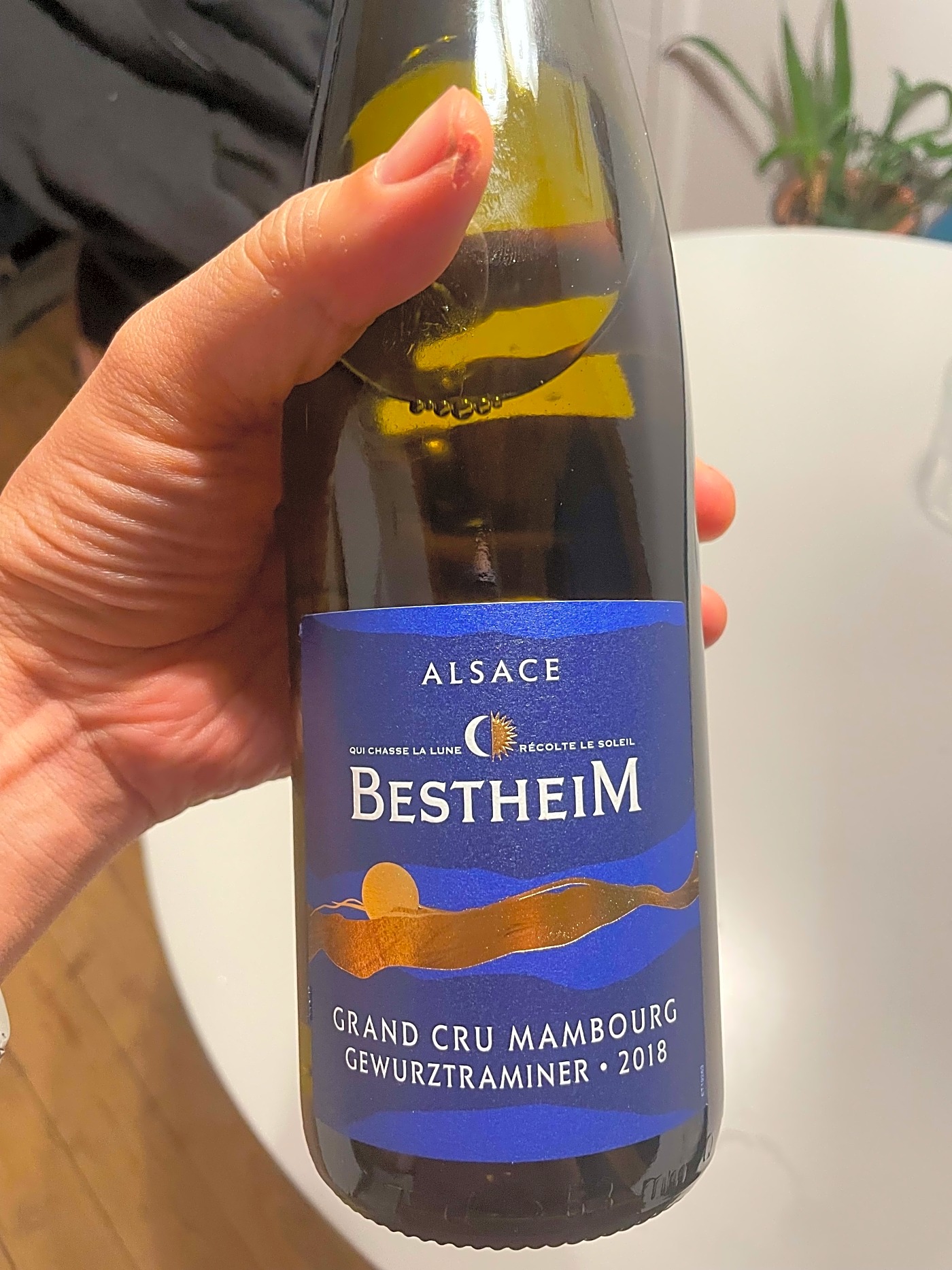 Best wine at the supermarket Bestheim mambourg